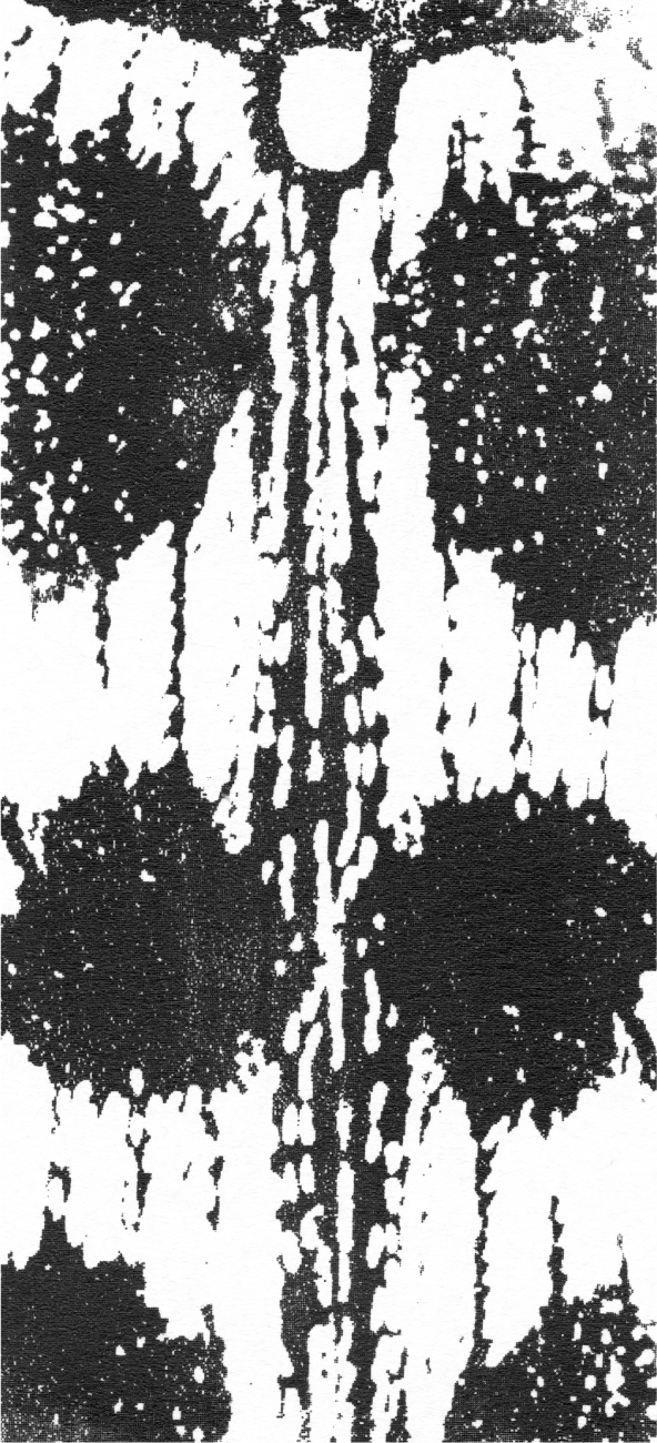ブラック