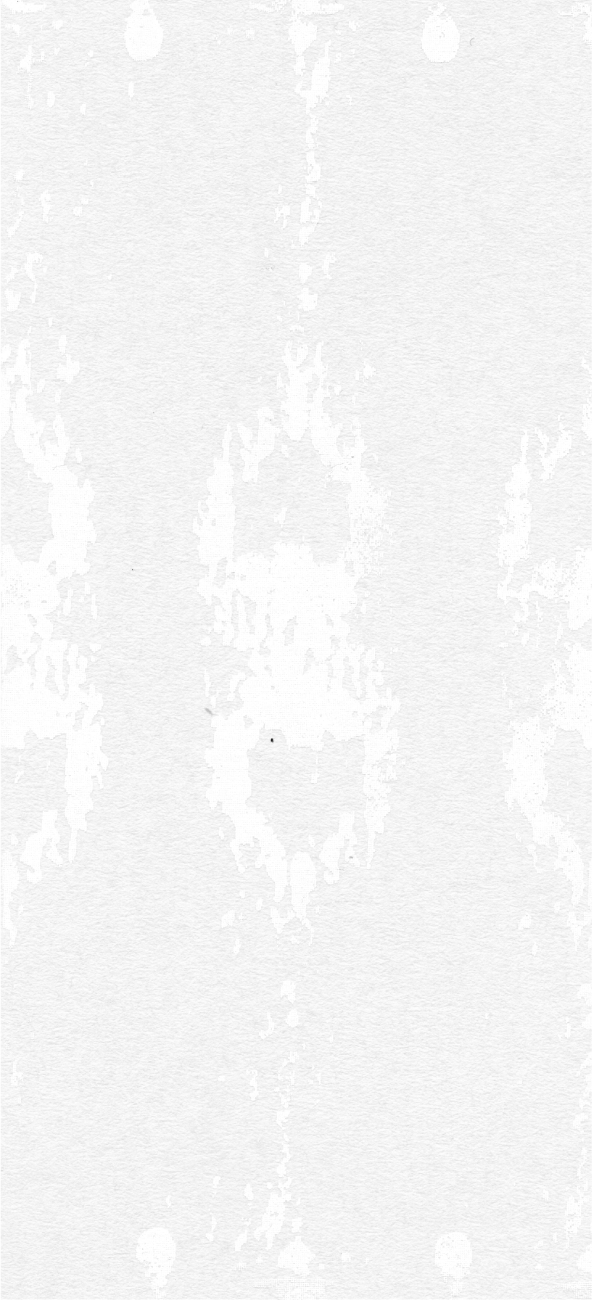 ホワイト