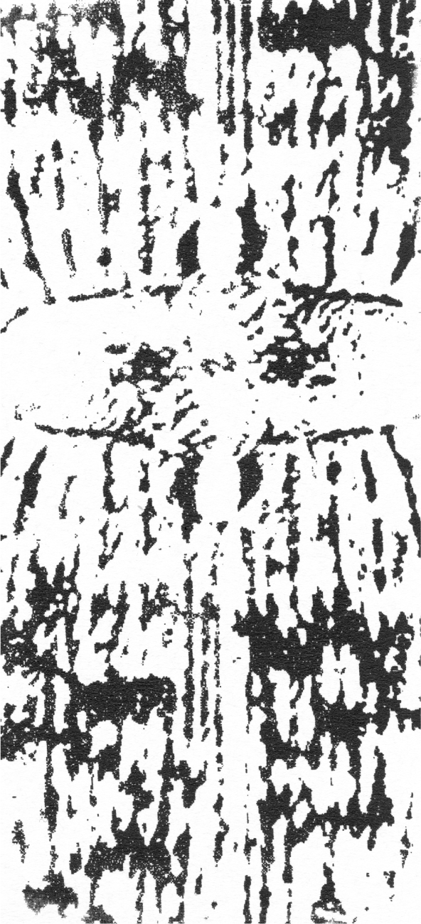 ブラック
