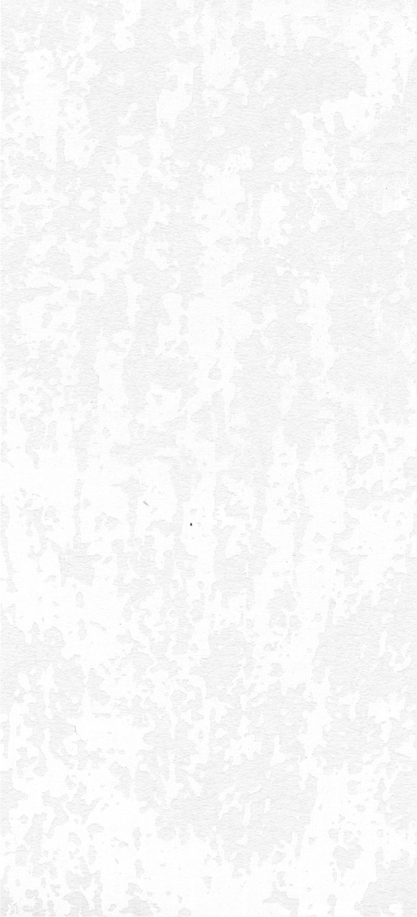 ホワイト
