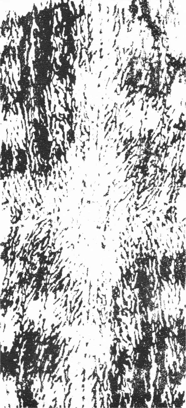 ブラック