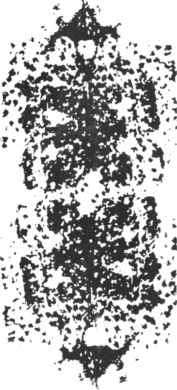 ブラック