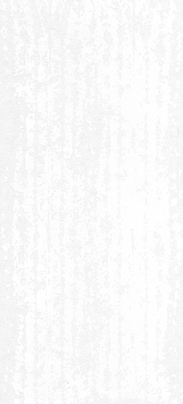 ホワイト