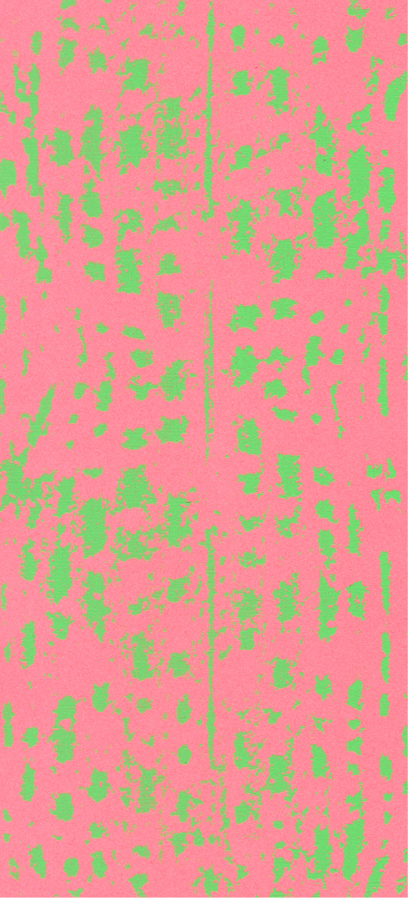 蛍光