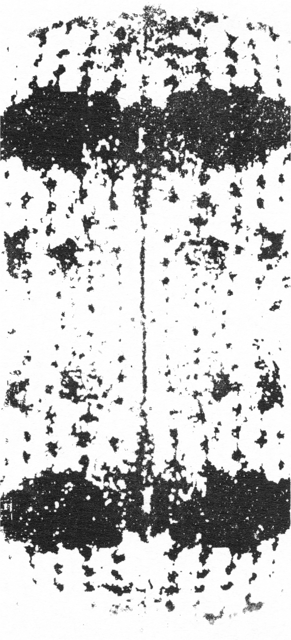 ブラック