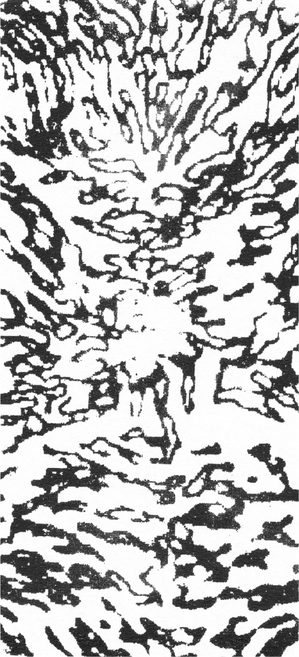 ブラック