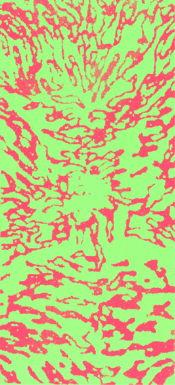 蛍光