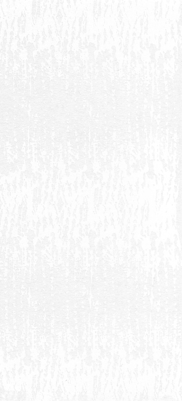 ホワイト